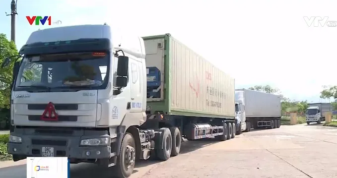 Sẵn sàng phương án tiêu thụ, không để nông sản ùn ứ do dịch bệnh - Ảnh 4. Sẵn sàng phương án tiêu thụ, không để nông sản ùn ứ do dịch bệnh - Ảnh 4.