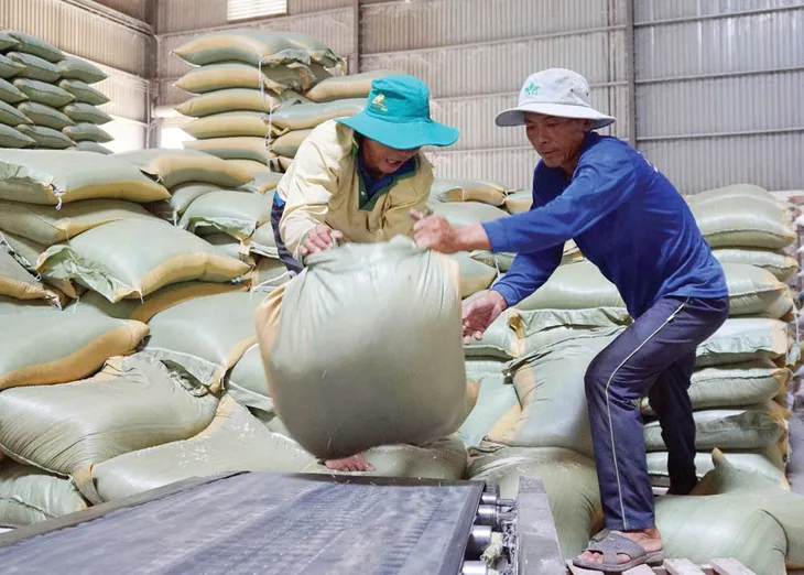 Gạo Việt và cơ hội lớn tại Philippines - Ảnh 1. Gạo Việt và cơ hội lớn tại Philippines - Ảnh 1.