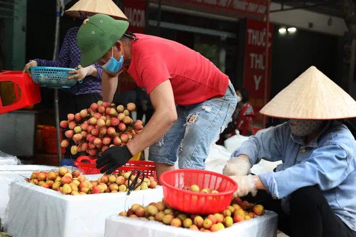 Vải thiều Việt Nam hứa hẹn được mùa ở Nhật - Ảnh 1. Vải thiều Việt Nam hứa hẹn được mùa ở Nhật - Ảnh 1.