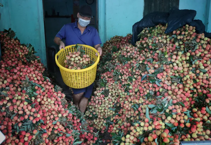 Thủ tướng chỉ đạo tháo gỡ khó khăn tiêu thụ nông sản cho Bắc Giang - Ảnh 1. Thủ tướng chỉ đạo tháo gỡ khó khăn tiêu thụ nông sản cho Bắc Giang - Ảnh 1.