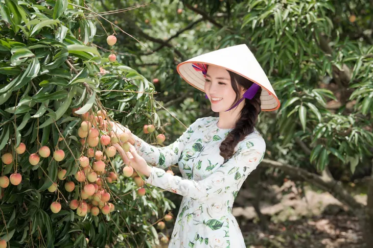 Dàn MC, BTV mê tóc dài: Thụy Vân biến hóa, Hoài Anh cuốn hút, Thu Hương lại than dày - Ảnh 14. Dàn MC, BTV mê tóc dài: Thụy Vân biến hóa, Hoài Anh cuốn hút, Thu Hương lại than dày - Ảnh 14.