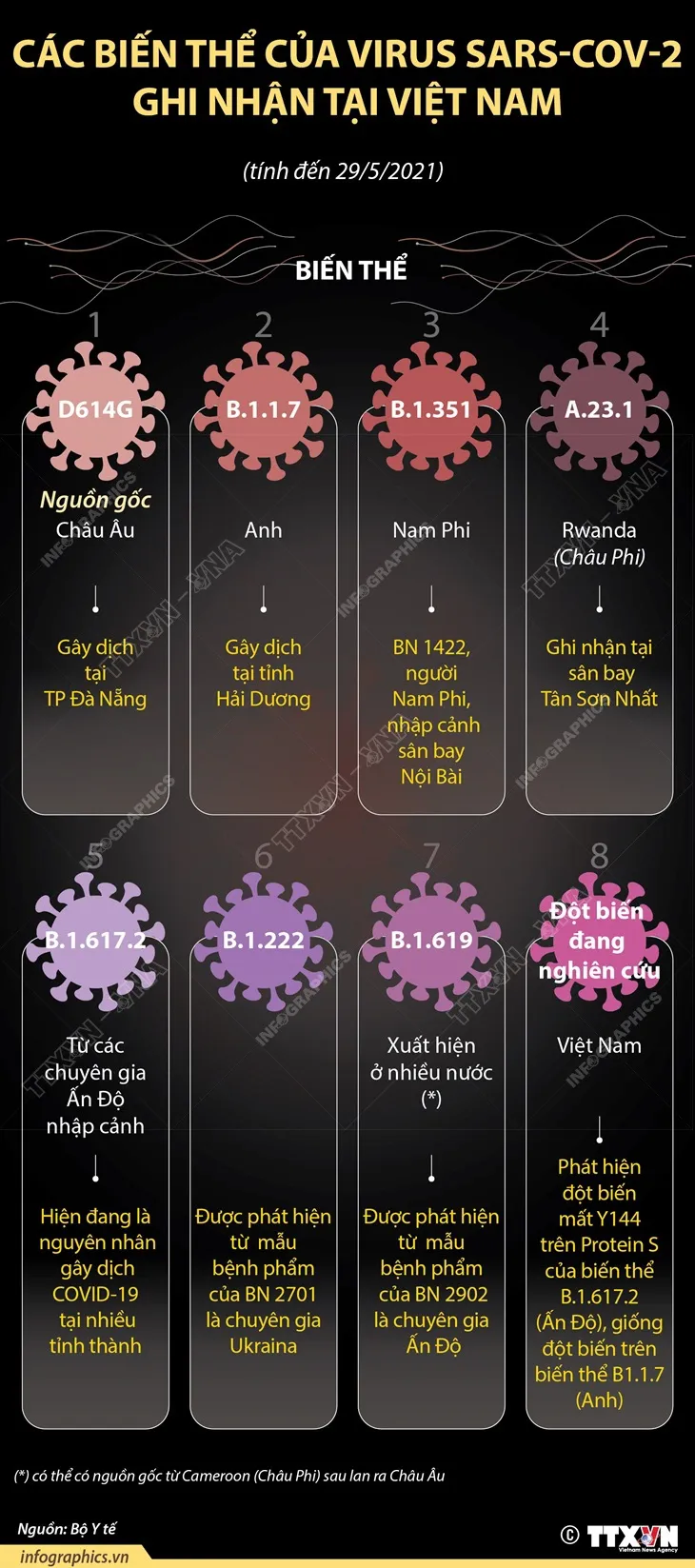 8 biến thể của virus SARS-CoV-2 ghi nhận tại Việt Nam - Ảnh 1. 8 biến thể của virus SARS-CoV-2 ghi nhận tại Việt Nam - Ảnh 1.