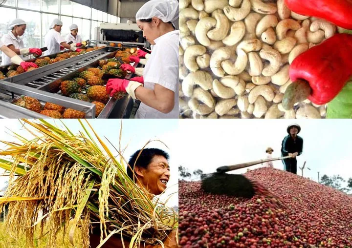 Xuất khẩu nông sản tăng trưởng ấn tượng 5 tháng đầu năm - Ảnh 1. Xuất khẩu nông sản tăng trưởng ấn tượng 5 tháng đầu năm - Ảnh 1.