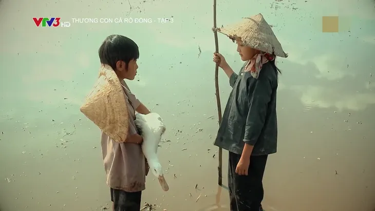 Thương con cá rô đồng - Tập 3: Dì Tư bắt sống hai chị em Nhớ rao bán vịt - Ảnh 2. Thương con cá rô đồng - Tập 3: Dì Tư bắt sống hai chị em Nhớ rao bán vịt - Ảnh 2.