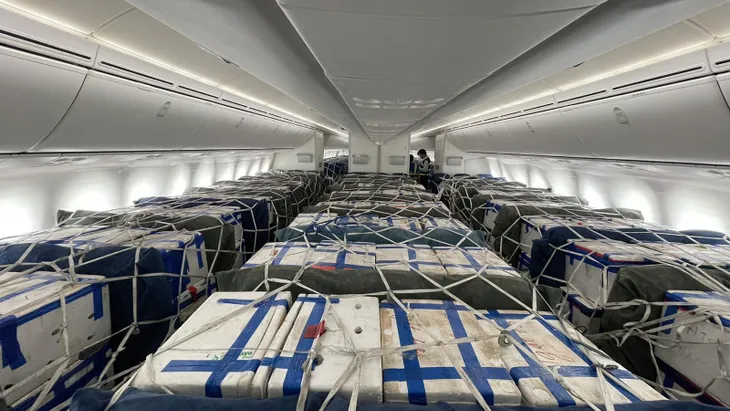 Vải thiều Bắc Giang ngồi siêu máy bay vào TP Hồ Chí Minh - Ảnh 2. Vải thiều Bắc Giang ngồi siêu máy bay vào TP Hồ Chí Minh - Ảnh 2.