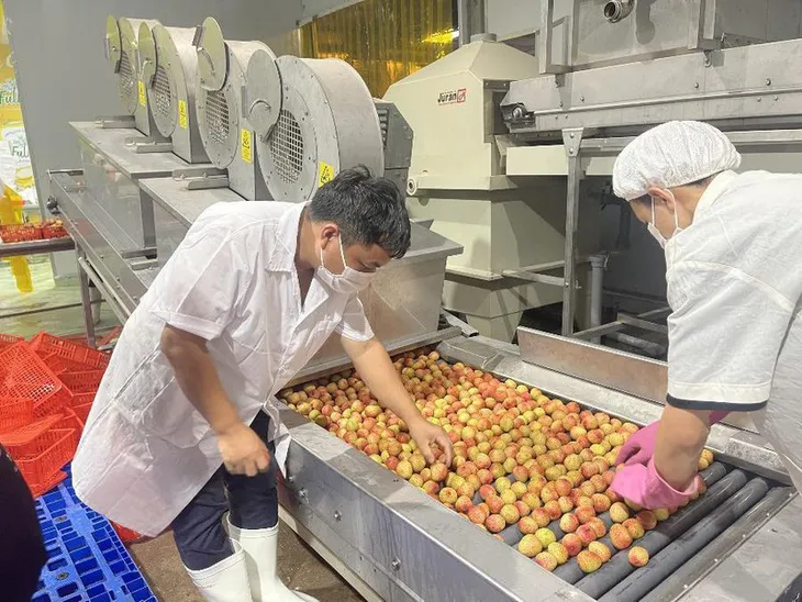 Doanh nghiệp xuất khẩu chủ động ứng biến vượt đại dịch - Ảnh 1. Doanh nghiệp xuất khẩu chủ động ứng biến vượt đại dịch - Ảnh 1.