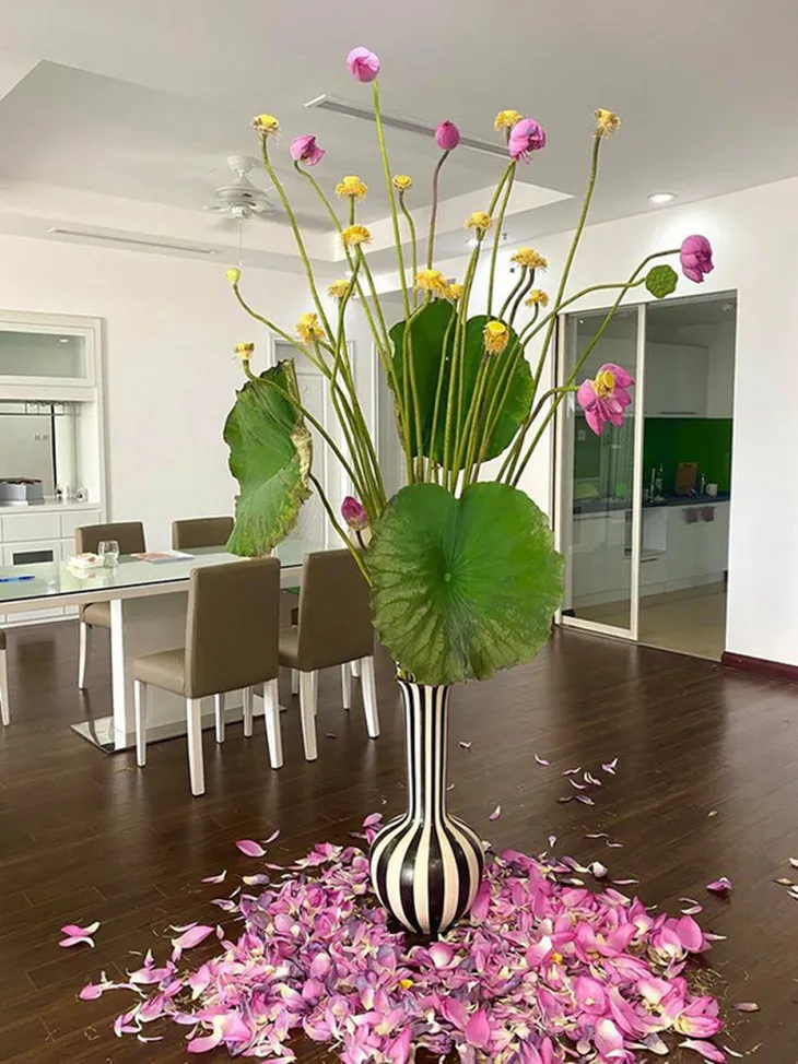 Sen chân dài đẹp long lanh, có tiền cũng khó kiếm - Ảnh 3. Sen chân dài đẹp long lanh, có tiền cũng khó kiếm - Ảnh 3.