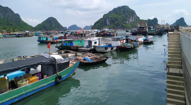 Các địa phương chủ động phòng, chống bão số 2 - Ảnh 3.
