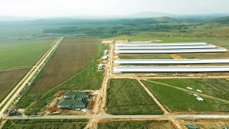 Tổ hợp trang trại bò sữa của Vinamilk tại Lào dự kiến đi vào hoạt động vào quý I/2022 - Ảnh 1. Tổ hợp trang trại bò sữa của Vinamilk tại Lào dự kiến đi vào hoạt động vào quý I/2022 - Ảnh 1.