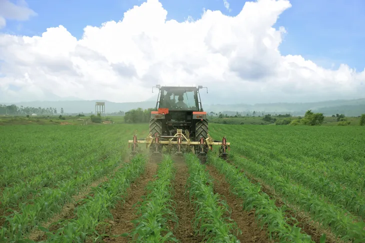 Tổ hợp trang trại bò sữa của Vinamilk tại Lào dự kiến đi vào hoạt động vào quý I/2022 - Ảnh 2. Tổ hợp trang trại bò sữa của Vinamilk tại Lào dự kiến đi vào hoạt động vào quý I/2022 - Ảnh 2.