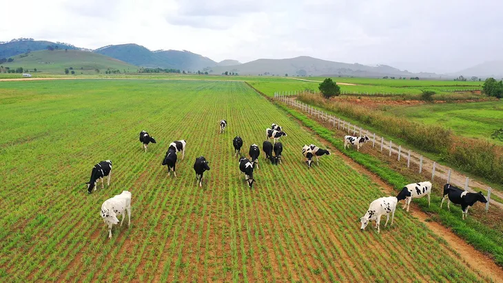 Tổ hợp trang trại bò sữa của Vinamilk tại Lào dự kiến đi vào hoạt động vào quý I/2022 - Ảnh 5. Tổ hợp trang trại bò sữa của Vinamilk tại Lào dự kiến đi vào hoạt động vào quý I/2022 - Ảnh 5.