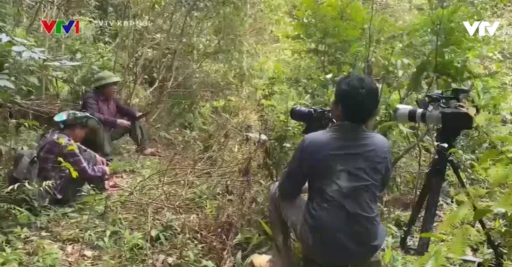Thức tỉnh: Thông điệp ý nghĩa về bảo vệ môi trường (21h, 5/6, VTV1) - Ảnh 1. Thức tỉnh: Thông điệp ý nghĩa về bảo vệ môi trường (21h, 5/6, VTV1) - Ảnh 1.