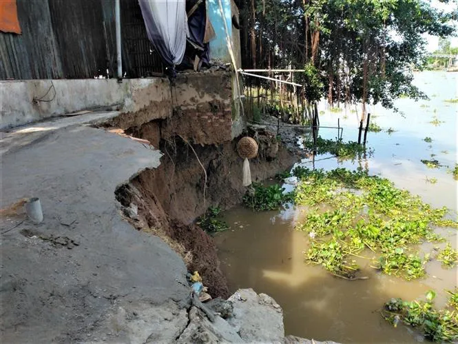 An Giang khẩn trương khắc phục sạt lở - Ảnh 2. An Giang khẩn trương khắc phục sạt lở - Ảnh 2.