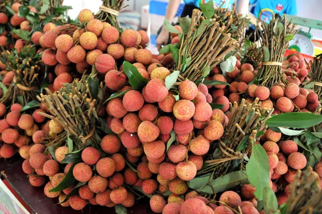 Vải thiều Việt Nam được yêu thích tại thị trường Pháp - Ảnh 1. Vải thiều Việt Nam được yêu thích tại thị trường Pháp - Ảnh 1.