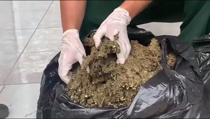 Bắt giữ 13 kg lá khô nghi cần sa vận chuyển từ Campuchia về Việt Nam - Ảnh 1. Bắt giữ 13 kg lá khô nghi cần sa vận chuyển từ Campuchia về Việt Nam - Ảnh 1.