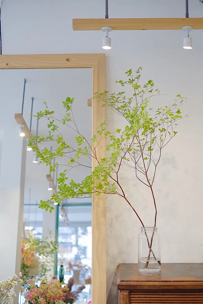 Dân Hà thành rộ mốt mua cành thạch nam, giá cả triệu đồng về cắm chơi - Ảnh 1. Dân Hà thành rộ mốt mua cành thạch nam, giá cả triệu đồng về cắm chơi - Ảnh 1.