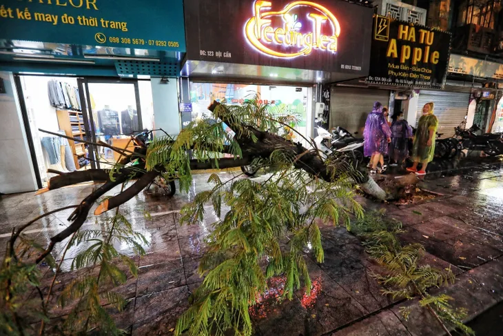 Cơn mưa vàng giải nhiệt cho Thủ đô Hà Nội - Ảnh 5. Cơn mưa vàng giải nhiệt cho Thủ đô Hà Nội - Ảnh 5.