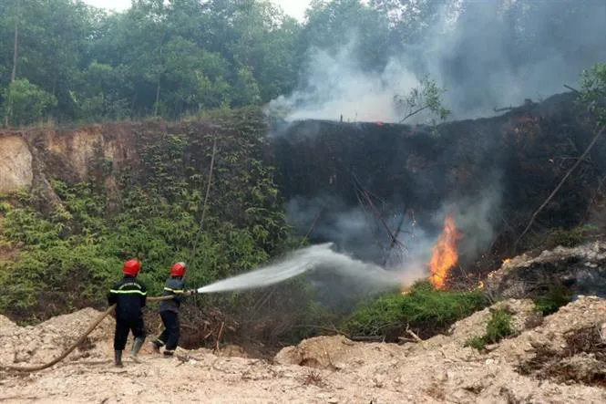 Lửa bùng cháy trở lại ở những cánh rừng của Thừa Thiên Huế - Ảnh 3. Lửa bùng cháy trở lại ở những cánh rừng của Thừa Thiên Huế - Ảnh 3.