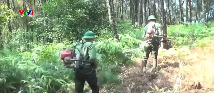 Nắng nóng kéo dài, Nghệ An tăng cường ngăn chặn nguy cơ cháy rừng - Ảnh 2. Nắng nóng kéo dài, Nghệ An tăng cường ngăn chặn nguy cơ cháy rừng - Ảnh 2.