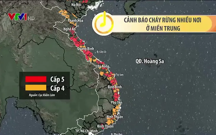 Nắng nóng liên tục, Đà Nẵng dự báo cháy rừng ở cấp cực kỳ nguy hiểm - Ảnh 2. Nắng nóng liên tục, Đà Nẵng dự báo cháy rừng ở cấp cực kỳ nguy hiểm - Ảnh 2.