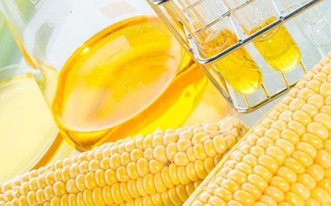 Hai doanh nghiệp cá tra Việt không bị áp thuế chống bán phá giá vào Mỹ - Ảnh 1. Hai doanh nghiệp cá tra Việt không bị áp thuế chống bán phá giá vào Mỹ - Ảnh 1.