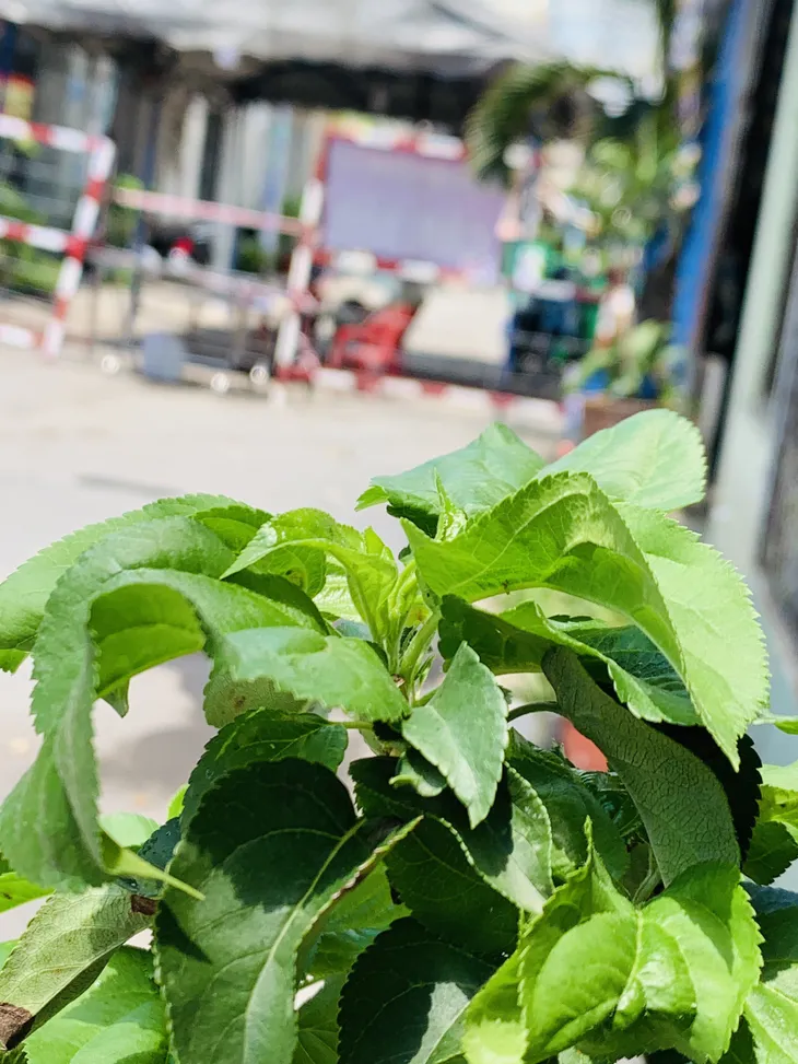 Nếu cuộc đời chỉ toàn chuyện xấu xa, tại sao cây táo lại nở hoa? - Ảnh 3. Nếu cuộc đời chỉ toàn chuyện xấu xa, tại sao cây táo lại nở hoa? - Ảnh 3.