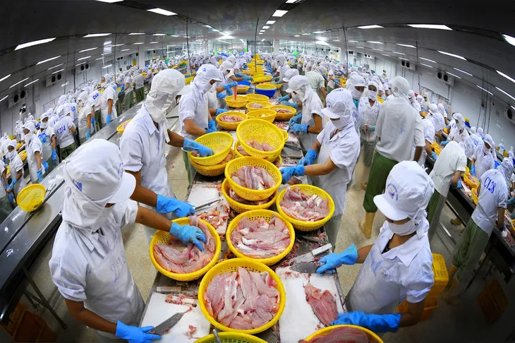 Kinh tế Việt Nam vững vàng vượt bão COVID-19 - Ảnh 1. Kinh tế Việt Nam vững vàng vượt bão COVID-19 - Ảnh 1.