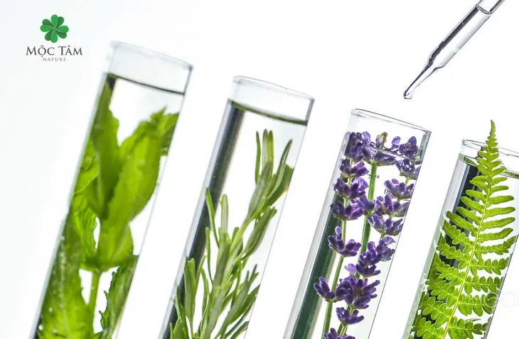 Mộc Tâm Nature: Một triết lý làm mỹ phẩm mộc mạc - Ảnh 1. Mộc Tâm Nature: Một triết lý làm mỹ phẩm mộc mạc - Ảnh 1.