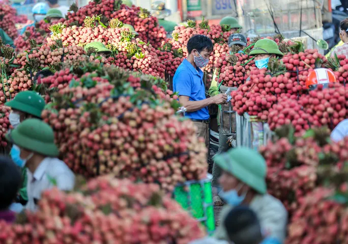 Nông nghiệp - “Bệ đỡ” của nền kinh tế trong bối cảnh dịch COVID-19 - Ảnh 2. Nông nghiệp - “Bệ đỡ” của nền kinh tế trong bối cảnh dịch COVID-19 - Ảnh 2.