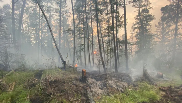Siberia đối mặt với cháy rừng sau tháng 6 khô nóng nhất trong 133 năm qua - Ảnh 2. Siberia đối mặt với cháy rừng sau tháng 6 khô nóng nhất trong 133 năm qua - Ảnh 2.