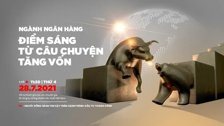 Sức hấp dẫn không thể chối từ của “cổ phiếu vua” và câu chuyện tăng vốn - Ảnh 1. Sức hấp dẫn không thể chối từ của “cổ phiếu vua” và câu chuyện tăng vốn - Ảnh 1.