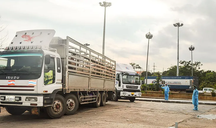 Bộ NN-PTNT đề nghị loạt giải pháp cấp bách để lưu thông hàng hóa - Ảnh 1. Bộ NN-PTNT đề nghị loạt giải pháp cấp bách để lưu thông hàng hóa - Ảnh 1.