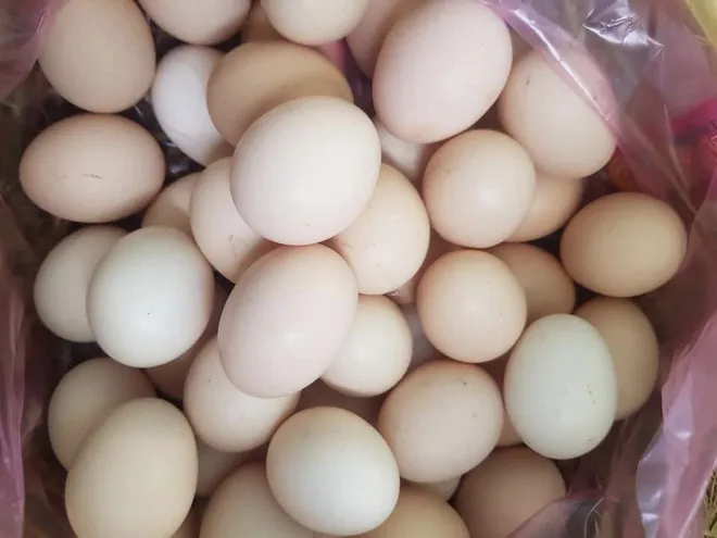 Trứng gà tăng giá gấp đôi vẫn cháy hàng - Ảnh 1. Trứng gà tăng giá gấp đôi vẫn cháy hàng - Ảnh 1.