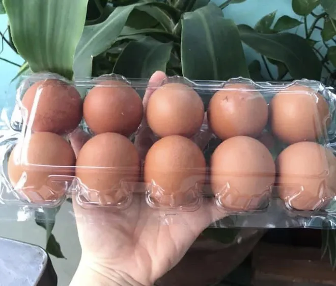 Trứng gà tăng giá gấp đôi vẫn cháy hàng - Ảnh 2. Trứng gà tăng giá gấp đôi vẫn cháy hàng - Ảnh 2.