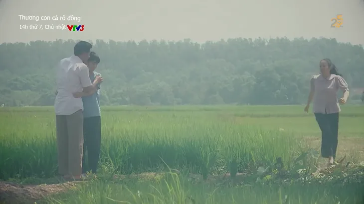 Thương con cá rô đồng - Tập 19: Dì Tư giả mắc bệnh hiểm nghèo để ép Thương đi đẻ thuê? - Ảnh 1.
