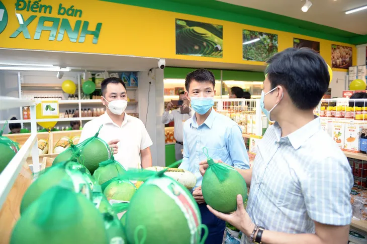 Hỗ trợ nông sản vượt dịch COVID-19 bằng những “Điểm bán xanh” - Ảnh 2. Hỗ trợ nông sản vượt dịch COVID-19 bằng những “Điểm bán xanh” - Ảnh 2.