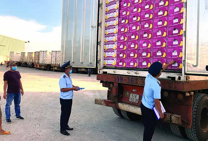 Doanh nghiệp kiến nghị tháo gỡ khó khăn về kiểm dịch thực vật - Ảnh 1. Doanh nghiệp kiến nghị tháo gỡ khó khăn về kiểm dịch thực vật - Ảnh 1.