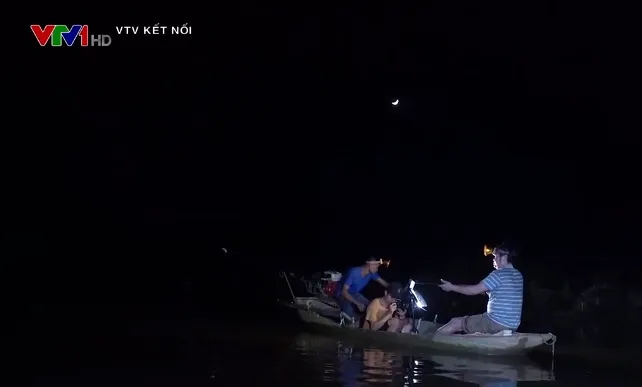 Khám phá bộ phim tài liệu Về đâu những cánh chim trời - Ảnh 2. Khám phá bộ phim tài liệu Về đâu những cánh chim trời - Ảnh 2.