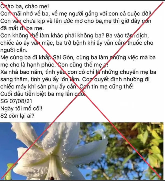 TP Hồ Chí Minh xác định vụ bác sĩ rút ống thở cứu sản phụ có dấu hiệu trục lợi - Ảnh 1. TP Hồ Chí Minh xác định vụ bác sĩ rút ống thở cứu sản phụ có dấu hiệu trục lợi - Ảnh 1.