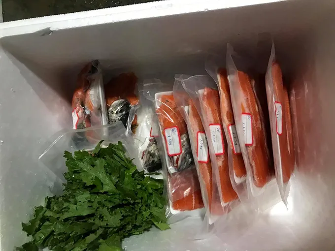 Cá hồi liên tục giảm giá, người nuôi lâm cảnh nợ nần - Ảnh 2. Cá hồi liên tục giảm giá, người nuôi lâm cảnh nợ nần - Ảnh 2.
