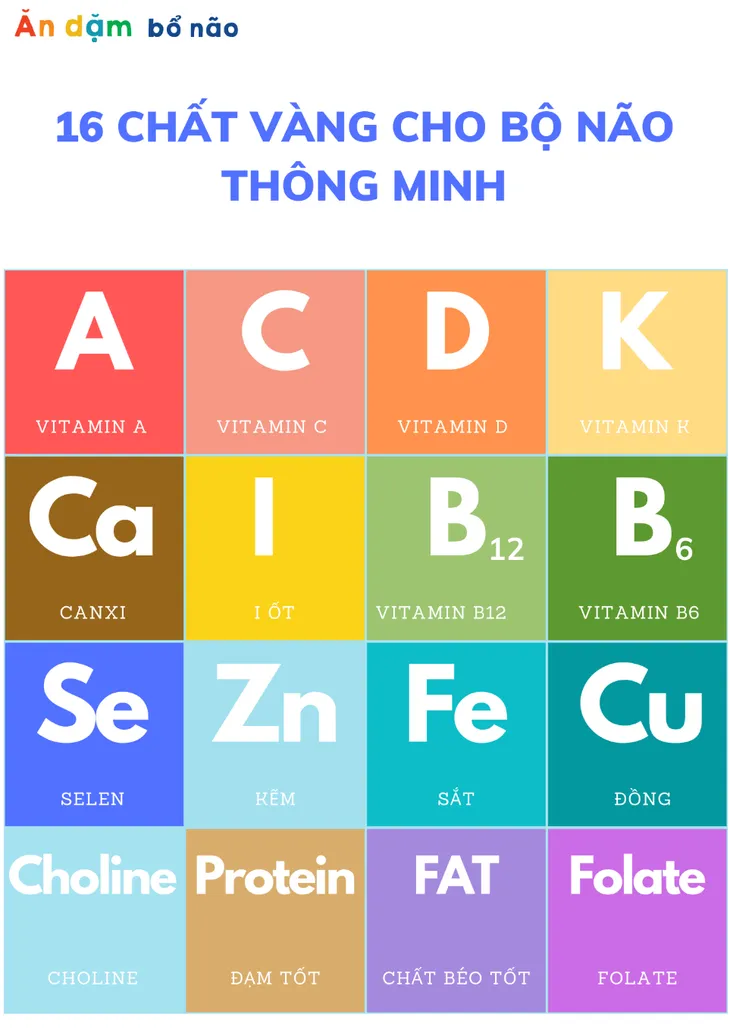 Lắng nghe chuyên gia dinh dưỡng nói về phương pháp ăn dặm bổ não - Ảnh 2. Lắng nghe chuyên gia dinh dưỡng nói về phương pháp ăn dặm bổ não - Ảnh 2.