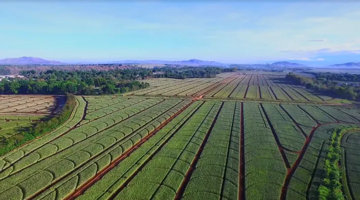 Vinamilk công bố đối tác liên doanh tại Philippines, sản phẩm thương mại sẽ lên kệ vào tháng 9/2021 - Ảnh 3. Vinamilk công bố đối tác liên doanh tại Philippines, sản phẩm thương mại sẽ lên kệ vào tháng 9/2021 - Ảnh 3.