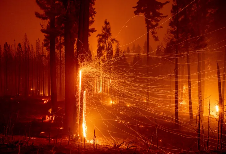 Cháy rừng ở Bắc California lan rộng gấp 3 lần trong 24 giờ, hàng nghìn người phải sơ tán - Ảnh 4. Cháy rừng ở Bắc California lan rộng gấp 3 lần trong 24 giờ, hàng nghìn người phải sơ tán - Ảnh 4.