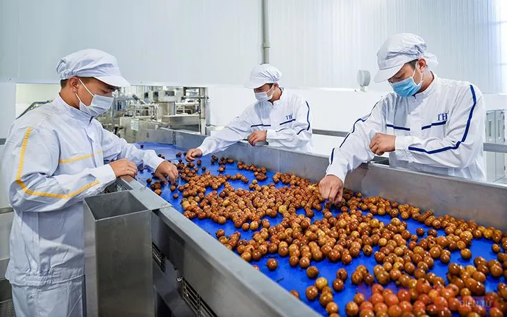 Doanh nghiệp cần làm gì để duy trì chuỗi cung ứng nông sản? - Ảnh 2.