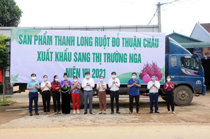 Sơn La xuất khẩu 10 tấn thanh long ruột đỏ sang Nga - Ảnh 1. Sơn La xuất khẩu 10 tấn thanh long ruột đỏ sang Nga - Ảnh 1.