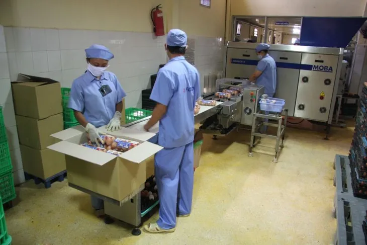 Doanh nghiệp xoay xở vượt khó mùa dịch - Ảnh 1. Doanh nghiệp xoay xở vượt khó mùa dịch - Ảnh 1.