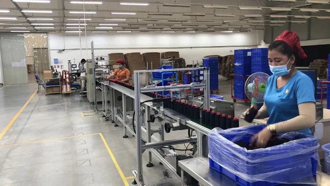 Cần có giải pháp đồng bộ khi doanh nghiệp hoạt động trở lại - Ảnh 2. Cần có giải pháp đồng bộ khi doanh nghiệp hoạt động trở lại - Ảnh 2.