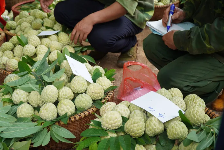 Thương mại điện tử - Cơ hội cho nông nghiệp các địa phương - Ảnh 1. Thương mại điện tử - Cơ hội cho nông nghiệp các địa phương - Ảnh 1.