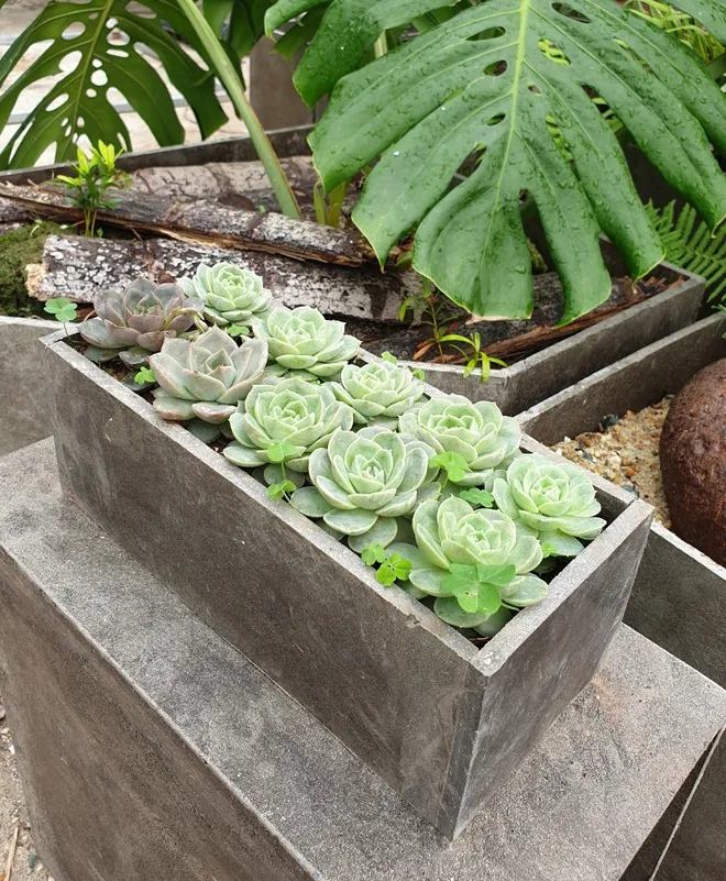 Lái ô tô nhặt vỏ hộp sữa về tái chế: Kiến trúc sư “biến” rác thành tiền - Ảnh 4. Lái ô tô nhặt vỏ hộp sữa về tái chế: Kiến trúc sư “biến” rác thành tiền - Ảnh 4.