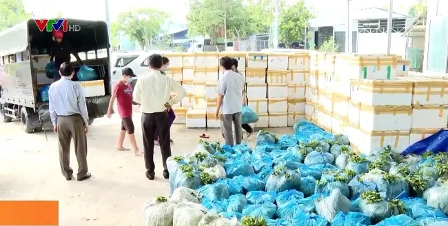 Góp yêu thương gửi đến người dân nơi tâm dịch - Ảnh 1. Góp yêu thương gửi đến người dân nơi tâm dịch - Ảnh 1.